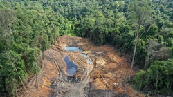 Kepala Gakkum KLHK Kalimantan Diganti, Gimana Kasus Tambang Ilegal di Unmul?