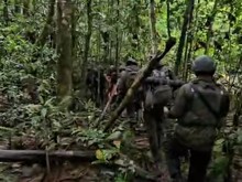 Sengatan Lebah Bikin Anggota Brimob di Papua Barat Kritis