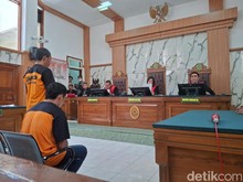 Tok! Terdakwa Ladang Ganja di Lereng Semeru Divonis 20 Tahun Penjara