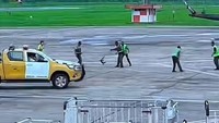 Viral Biawak Masuk Apron Bandara Supadio Pontianak, Ternyata Peristiwa Lama
